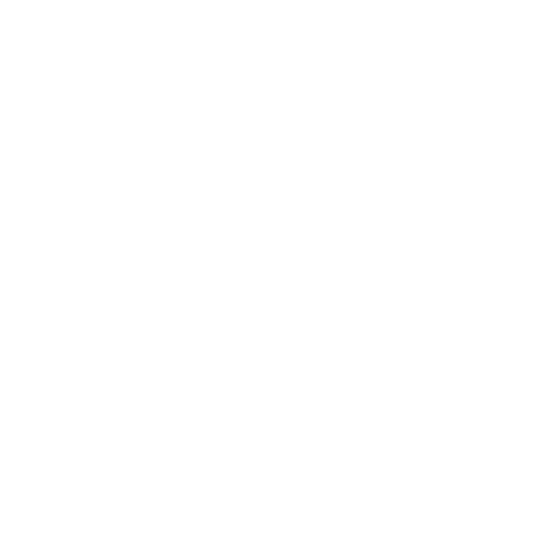 Sustain the Spark icon